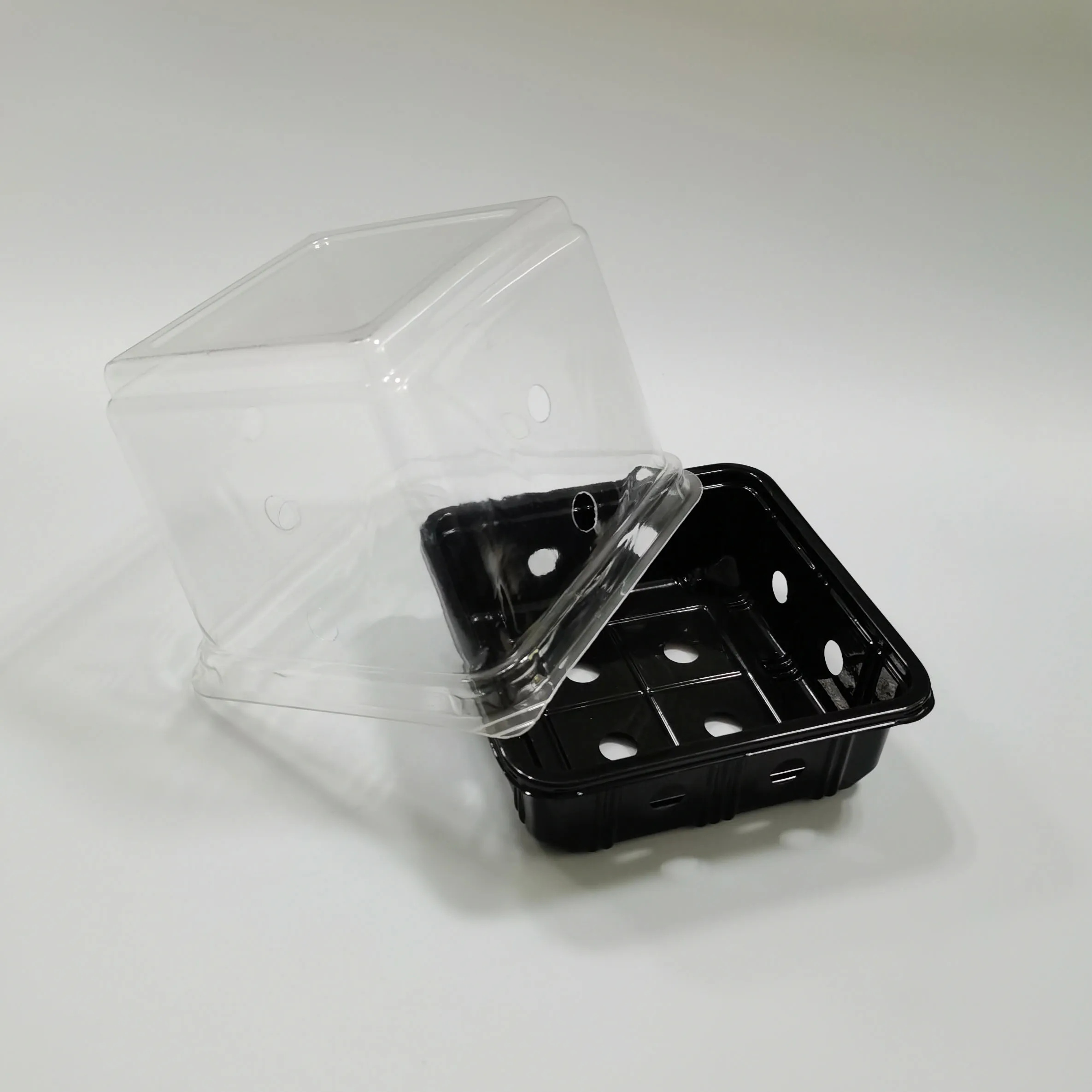 
Hot sale Transparent Clear Disposable Blister Container For Herbs Lettuce Packaging Box 