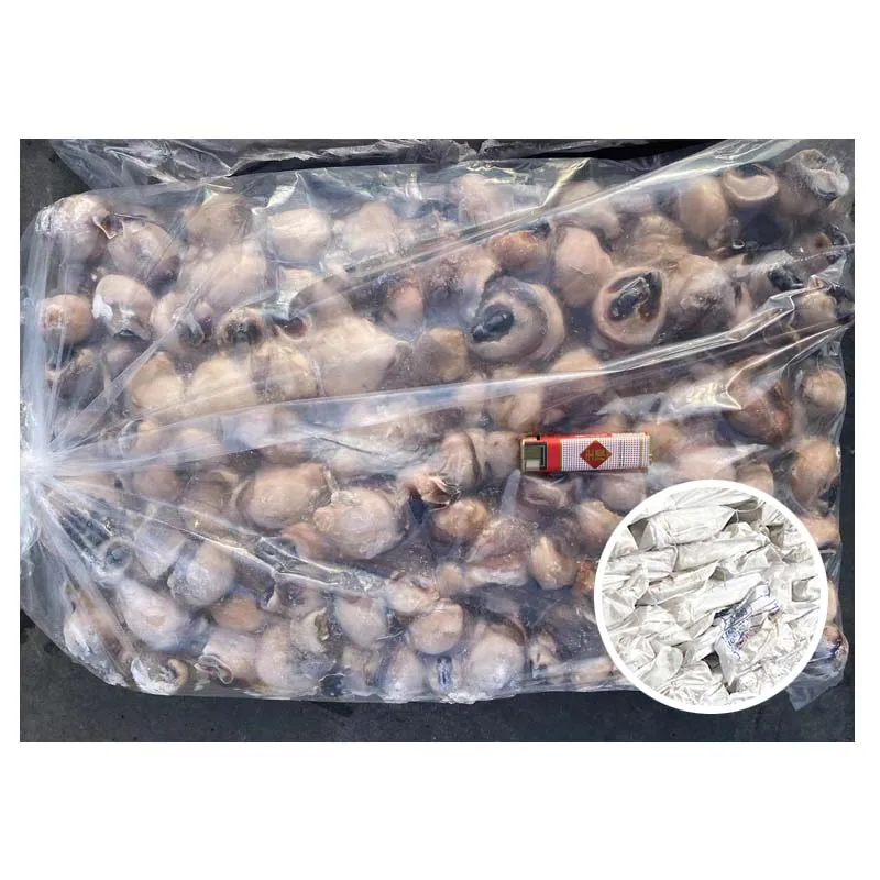 Bag Pack 30-70g Giant Squid Mouth Beak