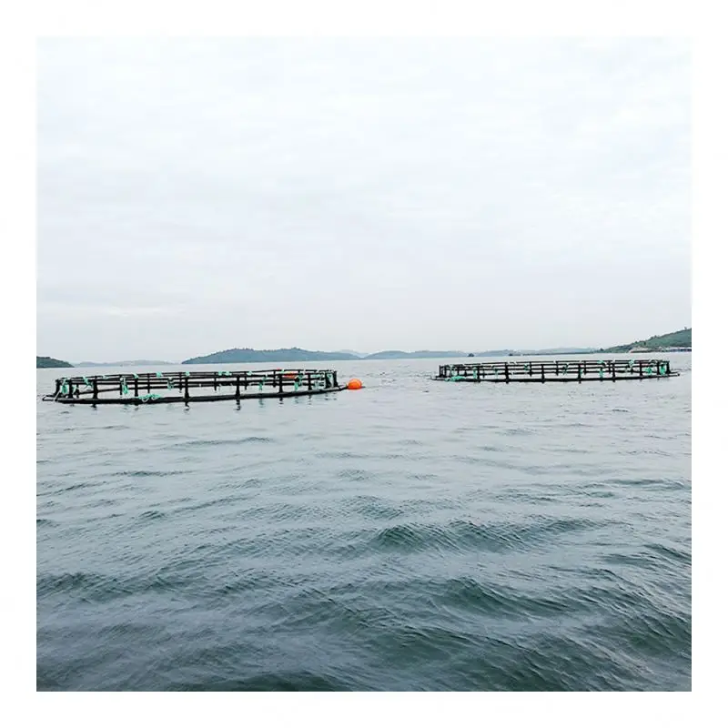 offshore fish farming cages deepwater open ocean, jaulas de cultivo de peces
