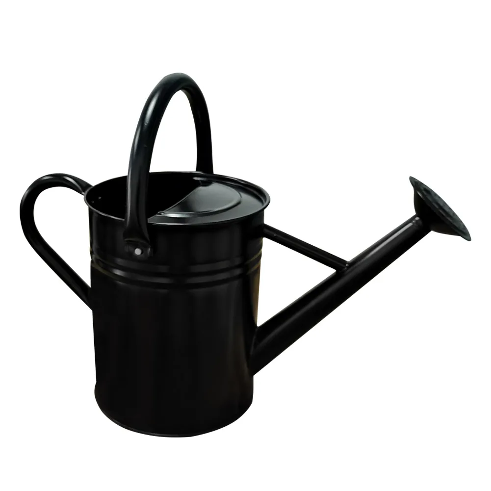 Оптовая цена на садовую бронзовую металлическую комнатную и наружную поливку л