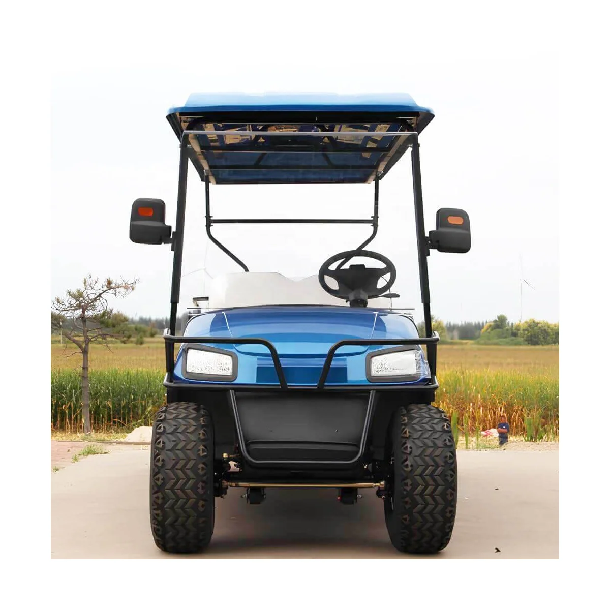 2 Seater Electric Golf Carts Cheap Prices Buggy Car for Sale Chinese Club Price Seat Automatic Lithium Battery 36 Volts Golf Car