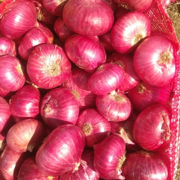Best Quality Wholesale cheap Price Fresh Red Onion suppliers on red onion 1 ton price for sale Bulk Product