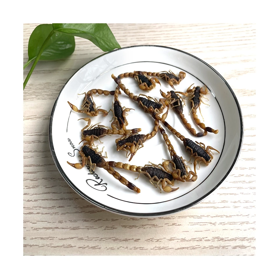 Снэки с высоким содержанием белка, низким содержанием жира, естественное питание, червь, эко-свежий скорпион