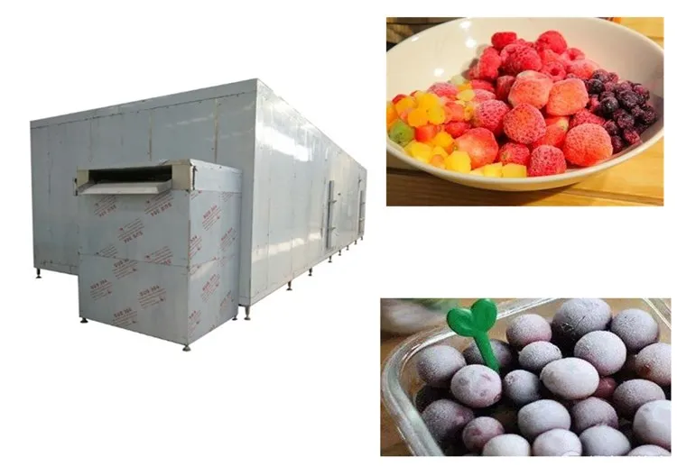 
Quick Freezing Processing machine Frozen Vegetable And Fruit Production Line 