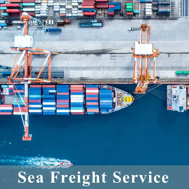 20/40ft FCL Sea Shipping from Shenzhen China to Osaka/Kobe/Nagoya Japan