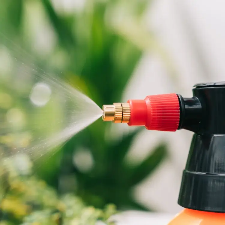 2L 3L Portable Handheld Spray Bottle for Home & Garden Watering Lightweight Plastic Watering Can Pot