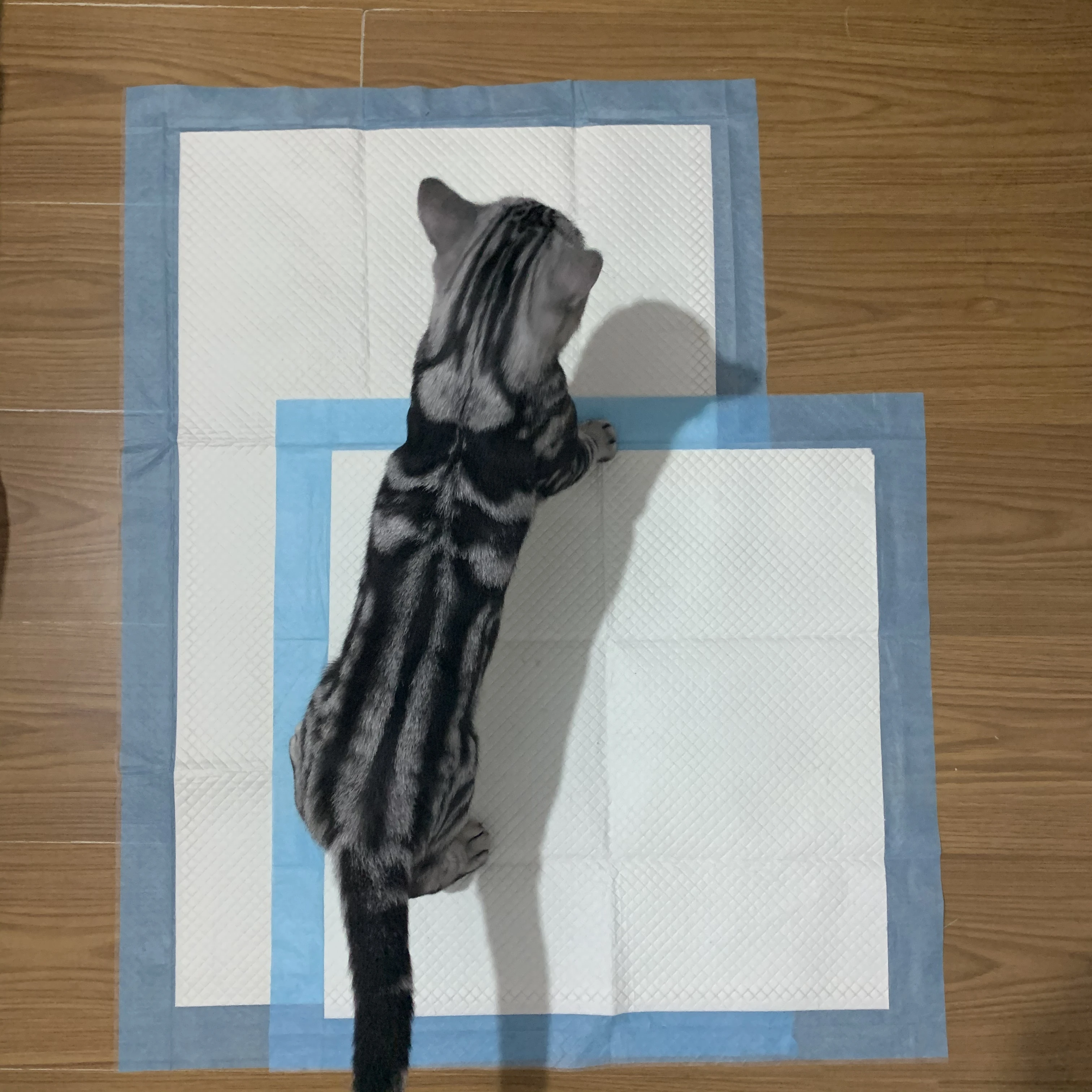 Alibaba, рекомендую, высокопроизводительный супервпитывающий полимер для собак, аддестраменто, коврики для домашних животных и кошек, круглый коврик для кошек, коврик для кошек, 7-слойный Экологичный коврик для дрессировки домашних животных