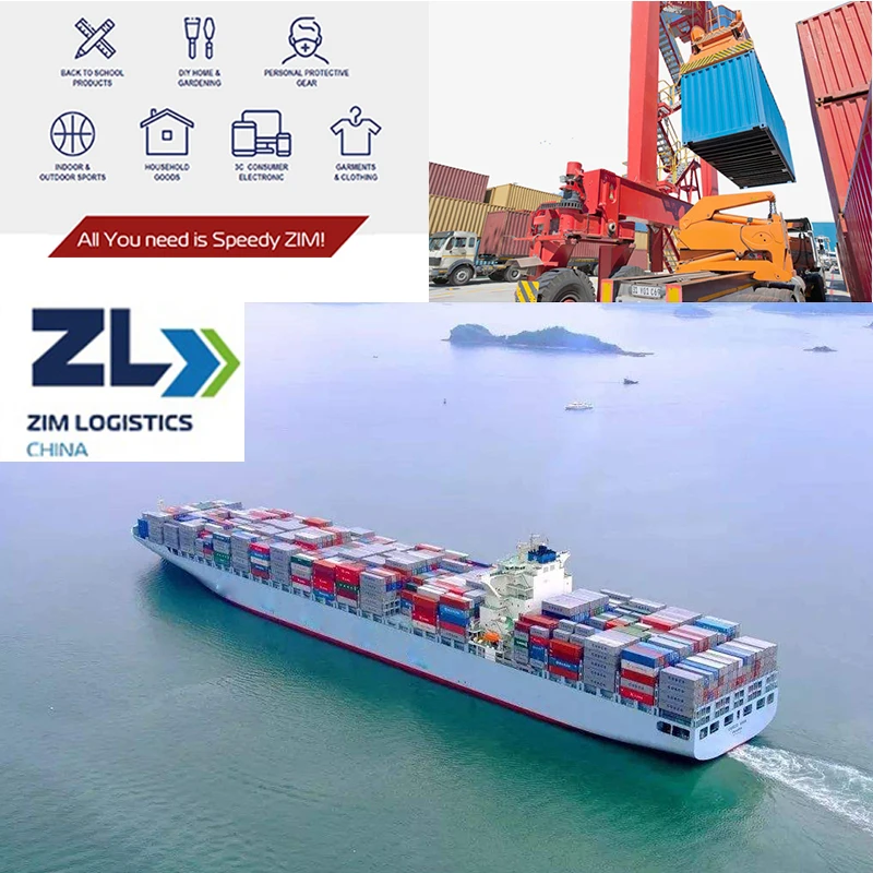 Competitive ZIM Logistics Shipping Agent Shanghai To Montego Bay JAMAICA Maritime Container Sea Freight