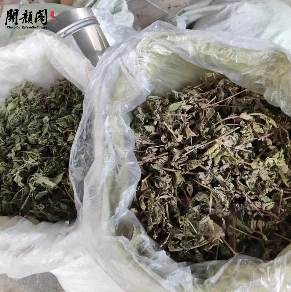 KAIYANGE wholes sample Fragments Raw Green Color Private Label Spearmint Tea sample Mentha spicata L. Spearmint Tea Mint Leaves