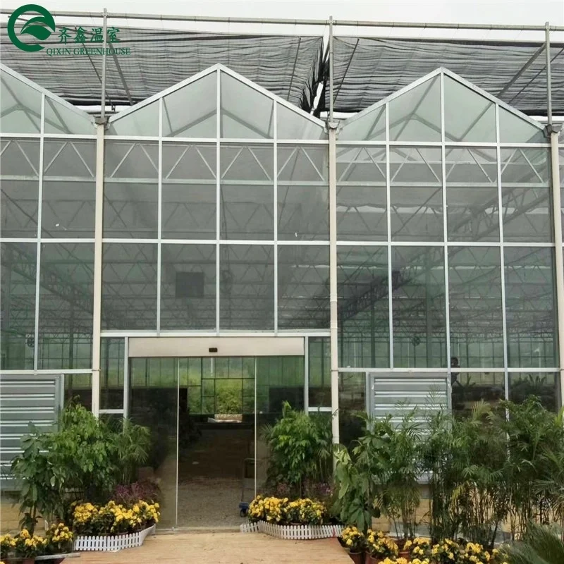 Used Venlo Garden Glass Greenhouse Galvanized Frames For Sale