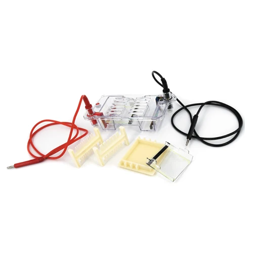 Mini Size Agarose DNA Rna Gel Electrophoresis System DYCP-31CN/DYCP-31DN/DYCP-31E/DYCP-32B