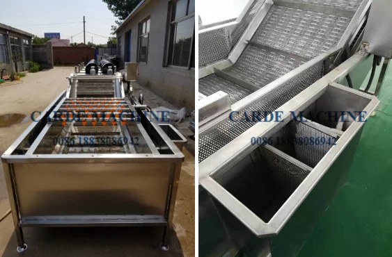 High efficient pumpkin seed food washing machine by air bubble and fruit ozone washer leafy vegetable fruits bubble cleaner