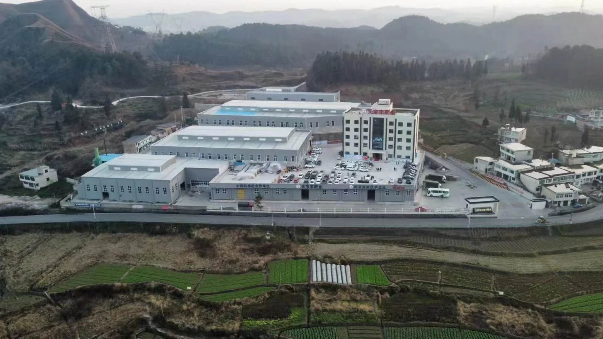 paddy fertilizer slow release npk 20-0-5 which is better than urea made in China