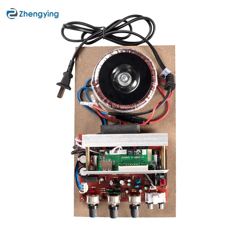 220 В Высокая мощность DIY модифицированный USB Bt HIFI уровень lossless fever Профессиональный усилитель мощности плата модуль