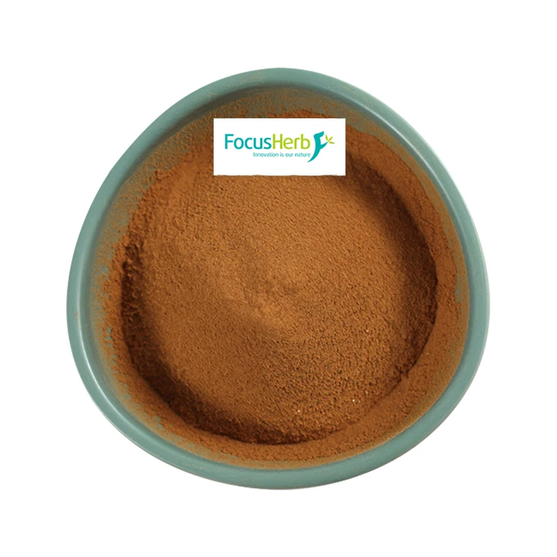 
Focusherb Oraganic Agaricus Bisporus Mushroom Polysaccharides 