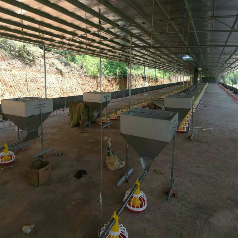 New Design Prefab Automatic Broiler Feeding and Drinking System Poultry House Shed Equipment on the Ground Floor