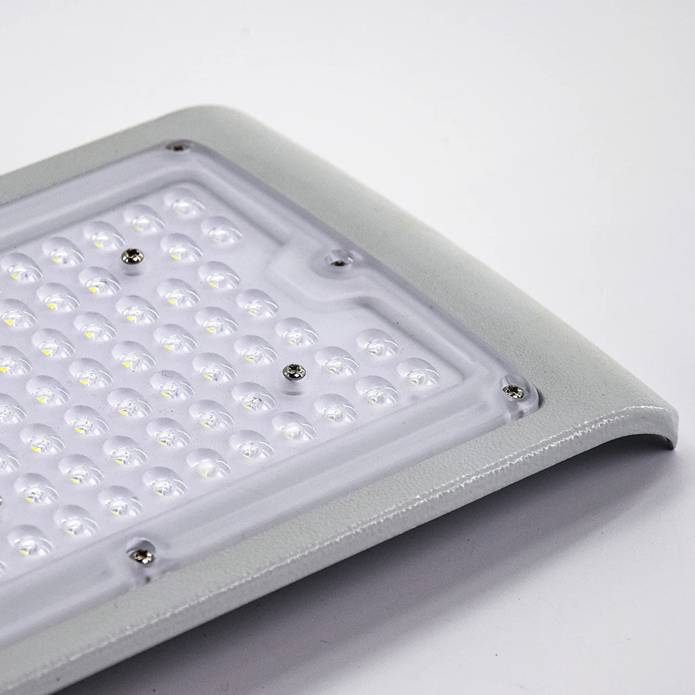 OEM водонепроницаемый оптический объектив наружный Высокий люмен выход 20 Вт 30 Вт 60 Вт 80 Вт 100 Вт Светодиодный уличный фонарь