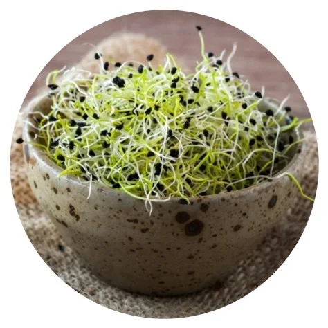 Оптовая продажа 2020, семена микрозелени, семена лука, микрозелени