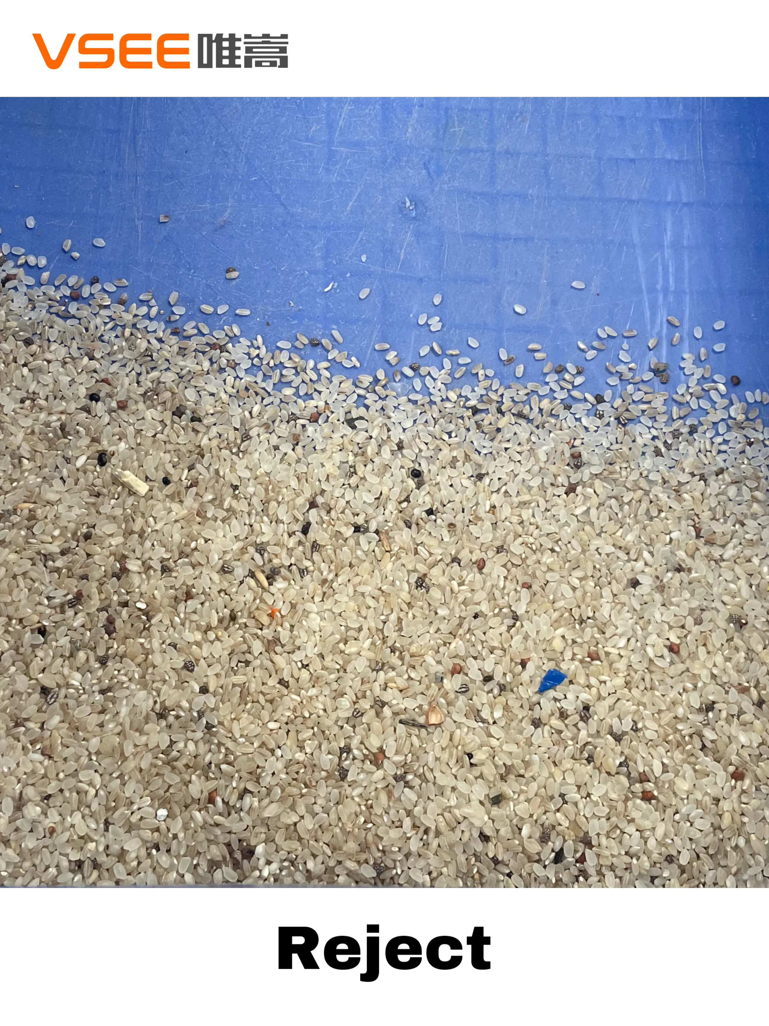 VSEE 4 chutes CCD Color  Sorter Rice processing machine rice mill machine price Thailand