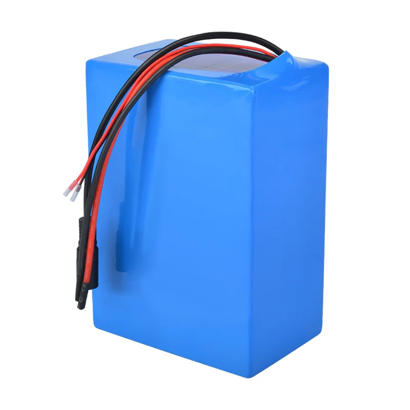 10Ah 20Ah 50Ah 100Ah 200Ah Custom Case Battery Module Lithium Ion Lifepo4 48V AGV Battery For E-Bike Golf Carts AGV Forklift