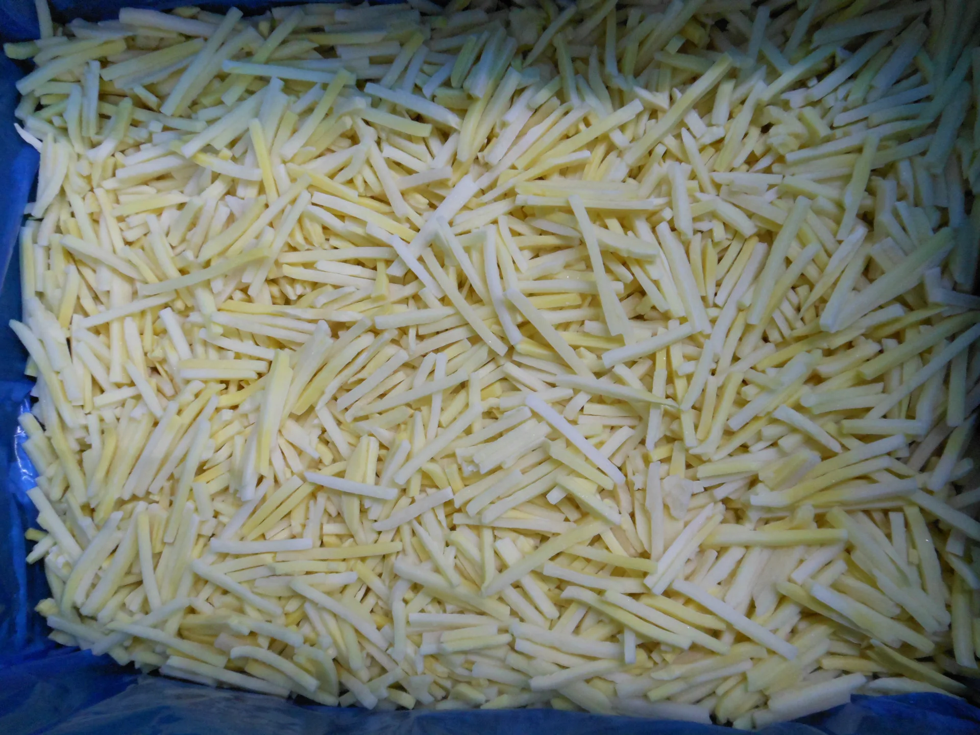 New crop frozen vegetables iqf frozen bamboo shoot strips
