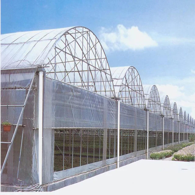 Cheap price plastic film greenhouse hydroponic growing systems greenhouse poly tunnel greenhouse for tomato