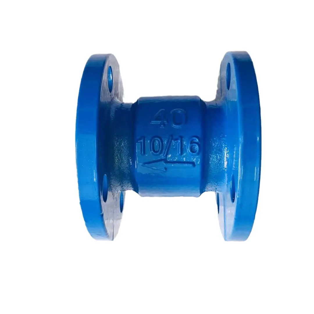 Silent Check Valve   Factory Direct Sale Cast Steel Nodular Cast Iron Vertical Check Valve Water Hydraulic Sewage HC41X-16Q