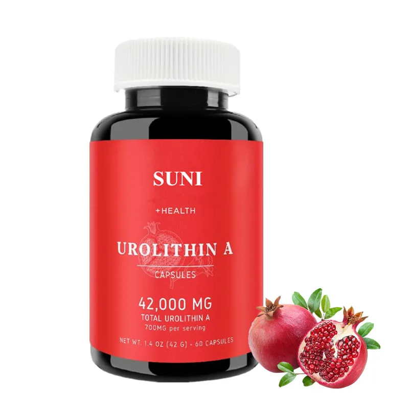OEM/ODM/OBM Health Powerful Mitochondrial Supplement Urolithin A Capsules For Cell Repair Energy And Muscle Strength Support