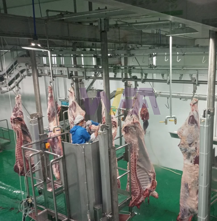 Halal Cow Donkey Slaughtering Machinery With Quality Meat Processing Cattle Butcher Machine