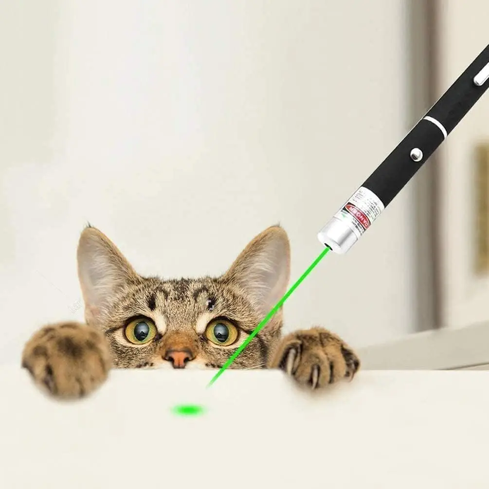 Red Green Purple Interactive LED Cat Laser Pointer Pen Powered by 2 AAA Battery