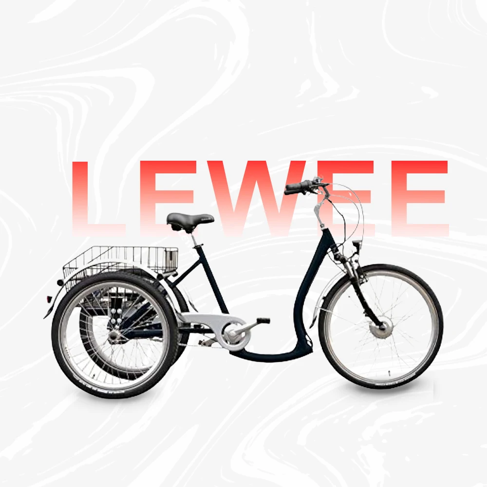 lewee Unisex - Adult Deluxe Tricycle, Black, 24 Inches