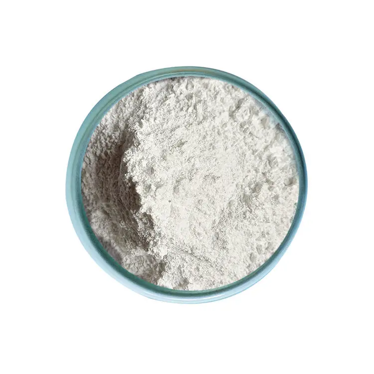 Good Pricing Calcium Carbonate Filler Precipitated White Color Raw Material calcium carbonate powder