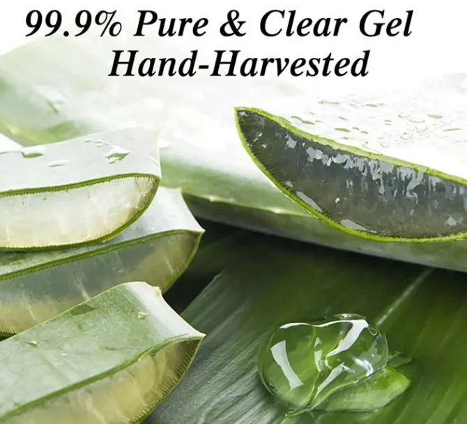 Forever 100% Pure Organic Moisturizing Soothing For Skin Lightening Aloe Vera Gel