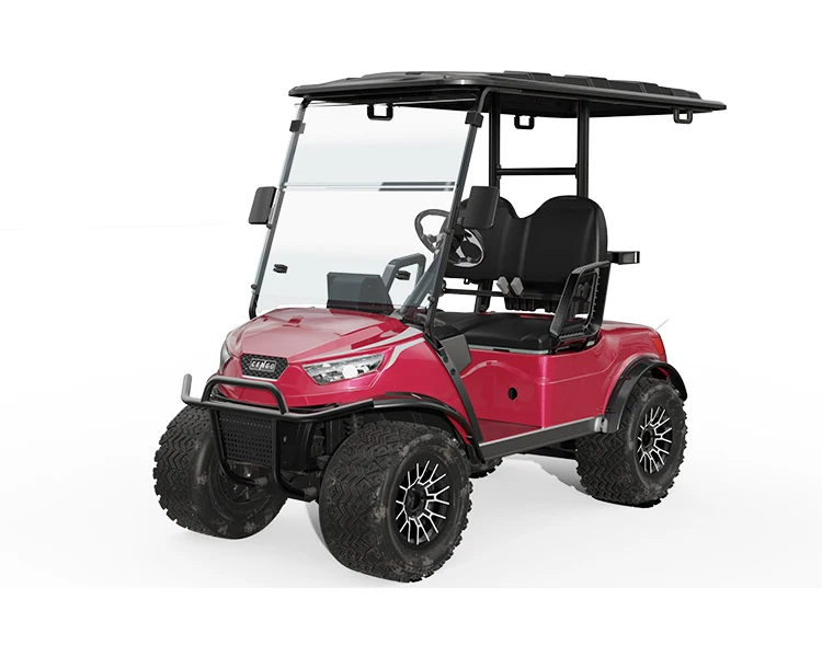 Cengo NL-JA2.G CLUB CAR 2 seater Passenger Golf Car Electric Golf Cart with 4KW Motor for Sightseeing