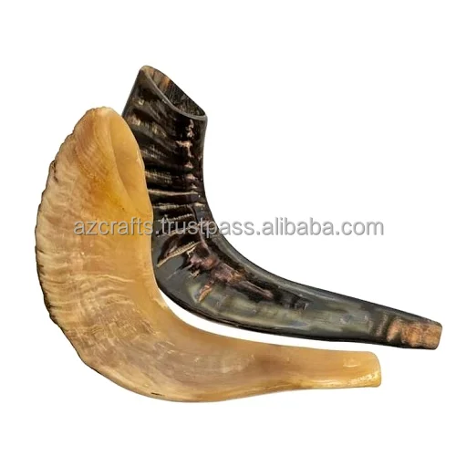  Оптовая продажа полированный Рог SHOFAR / KUDU KOSHER
