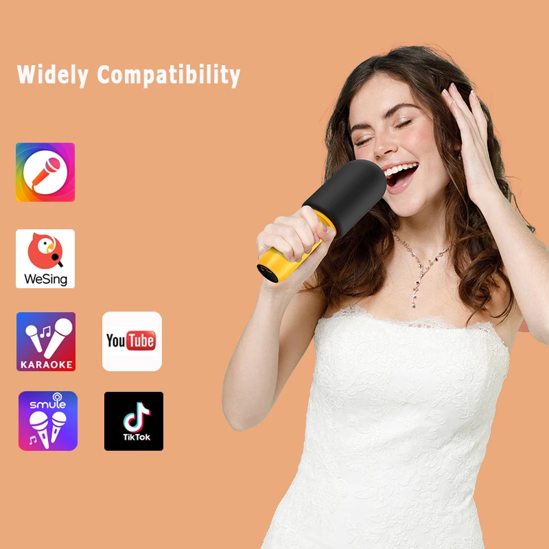 Cheap Price Handheld Condenser Singing Mic Outdoor Home Karaoke Microphone Wireless Professional