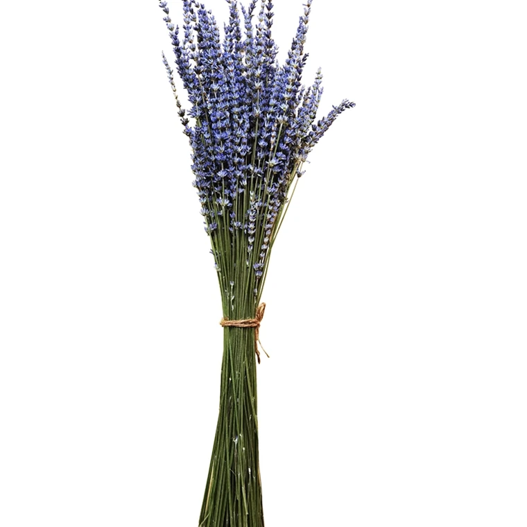 
Wholesale Customized Good Quality Dried Flower Bride Bouquet Of Flowers 