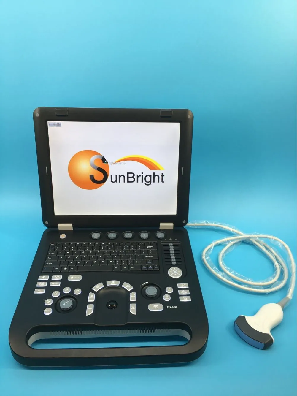 Laptop Diagnostic portable ultrasound veterinary sonar For Pregnancy