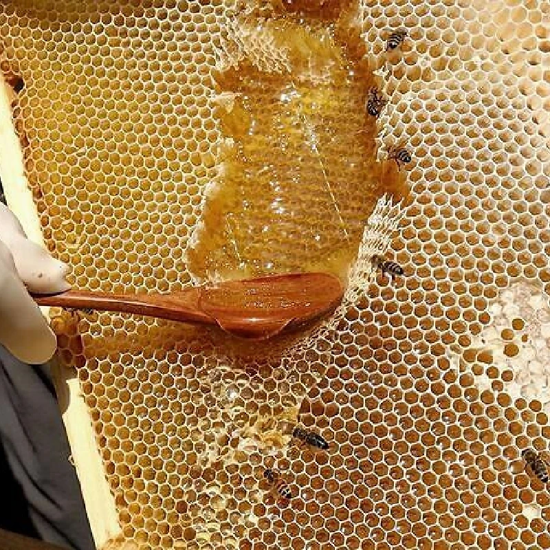 Контейнер оптом по индивидуальному заказу хорошая цена банка для меда Подарочная коробка Mmr Sidr мед пластиковый 100% оригинальный белый покупатели