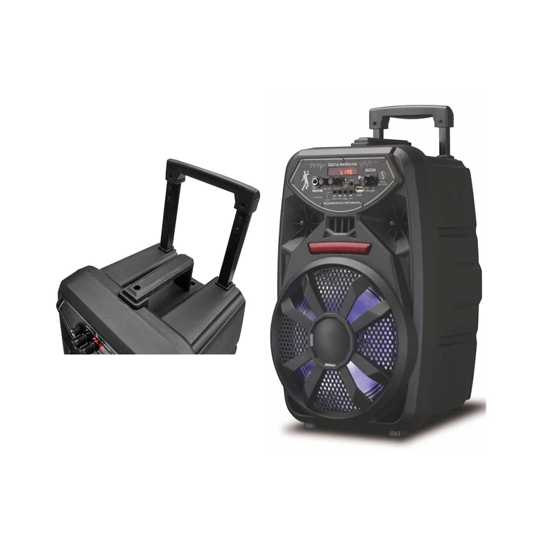 8 inch Subwoofer Outdoor Rechargeable portable Speaker