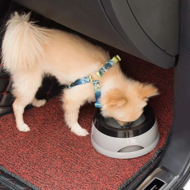 Wholesale Custom Logo Premium Non Slip Cat Dog Automatic Gravity Pet Water Bowl Feeder