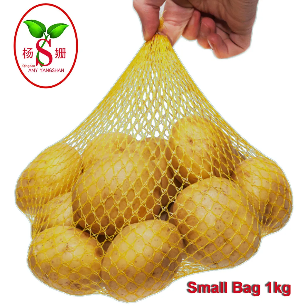 Fresh potatoes  wholesale,new harvest premium selection Holland potato exporter