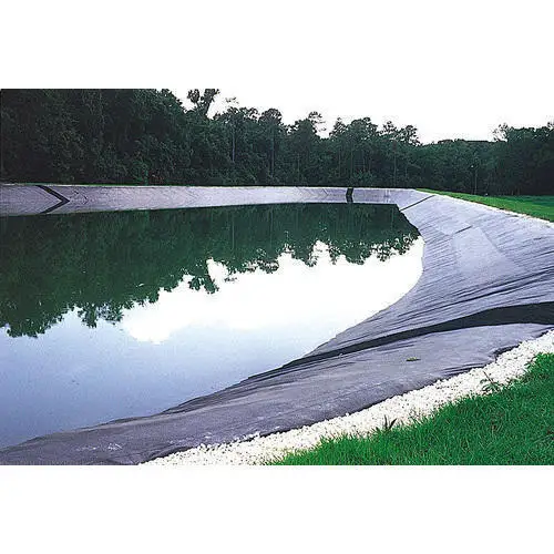 Waterproof Geomembrane Plastics Membrane Guangdong for Sale