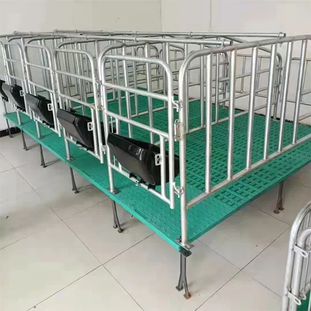 pig farm sow farrowing process tool sow gestation crate online sales