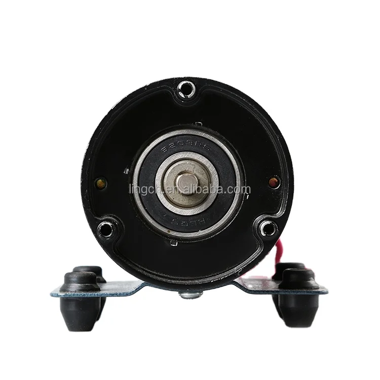 12V 24V Permanent magnet  waterproof pump DC motor