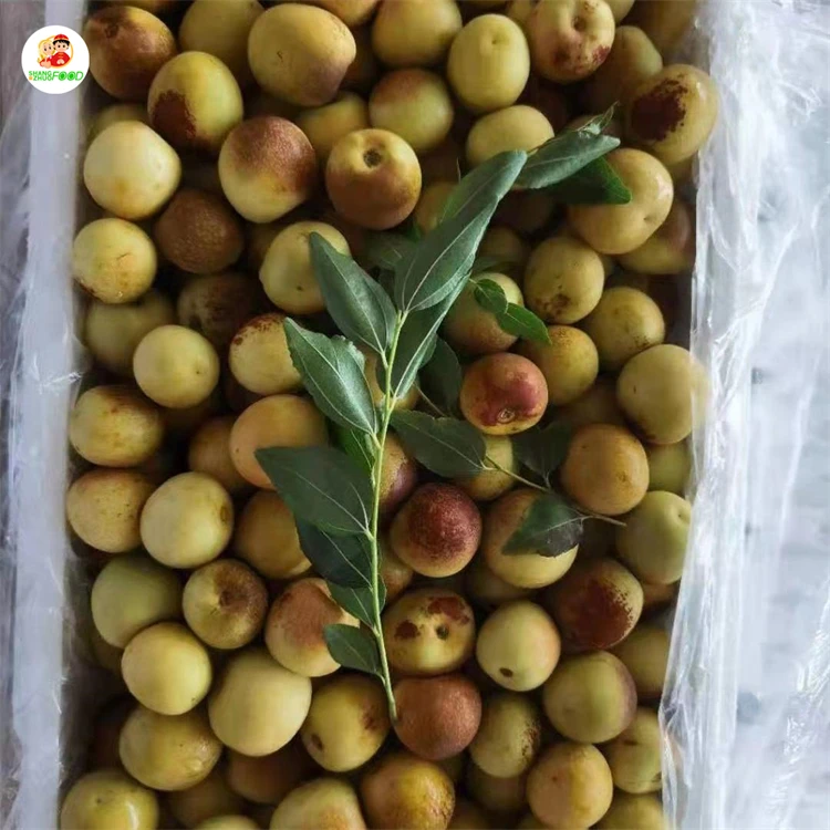 
Chinese popular fresh fruit winter jujube fresh high quality winter jujube with qualiyt pure 