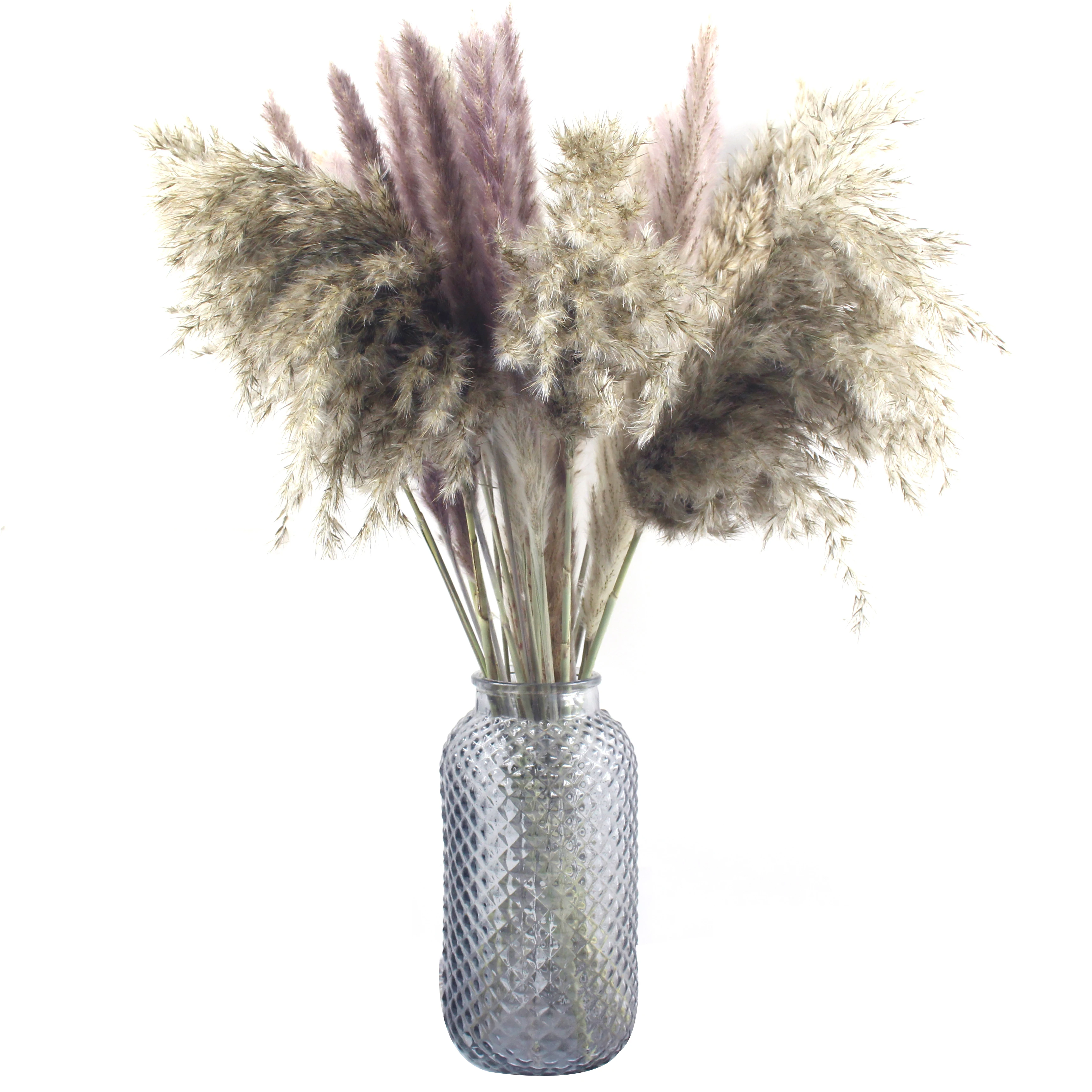 Hot Sale Pampas Grass Large Dried Big Pampas Grass Gatural Phragmites Communis Fluffy Feather Shape Reed Pampas Wedding