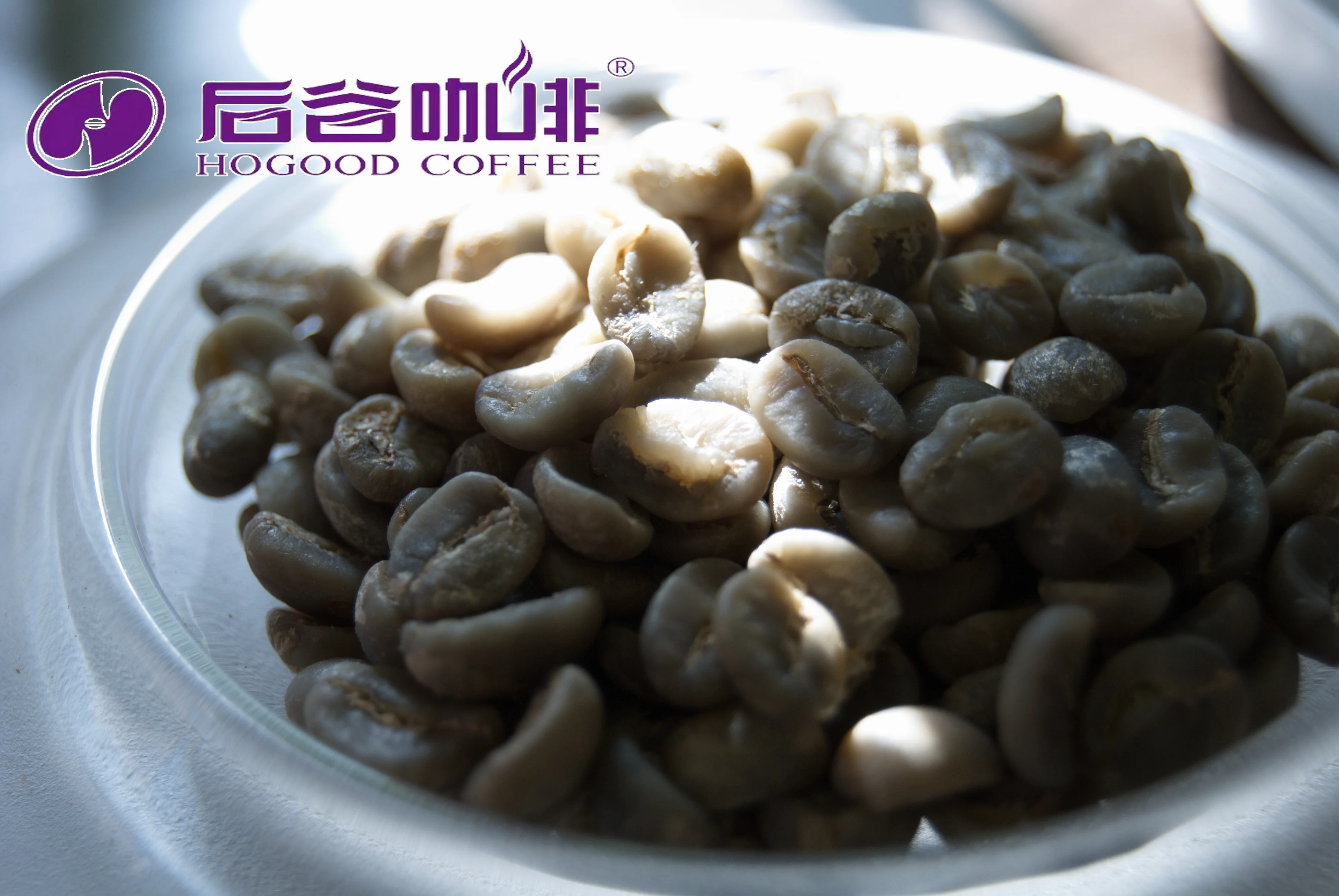 Класс АА экран 18 Арабика зеленые кофейные зерна