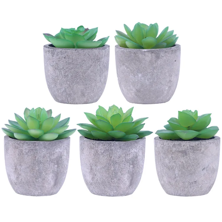 Artificial Succulent Plants Assorted Decorative Faux Succulent Potted Fake Cactus Cacti Plants with Gray Pots Set of 5 ES0845