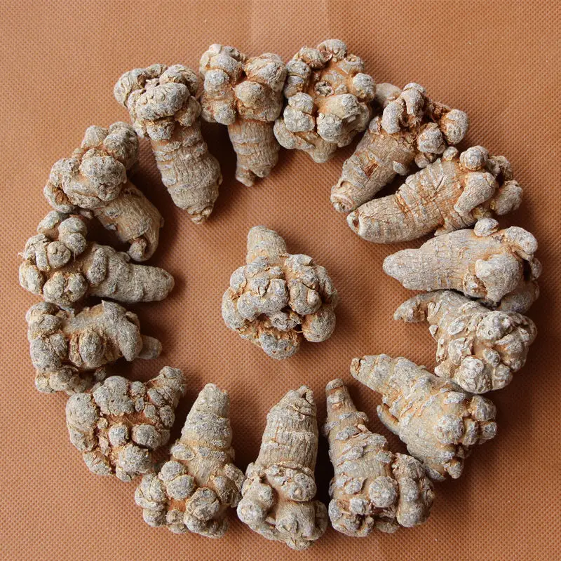 Высококачественные китайские травы Gansu San Qi Panax Notoginseng/псевдо-женьшень